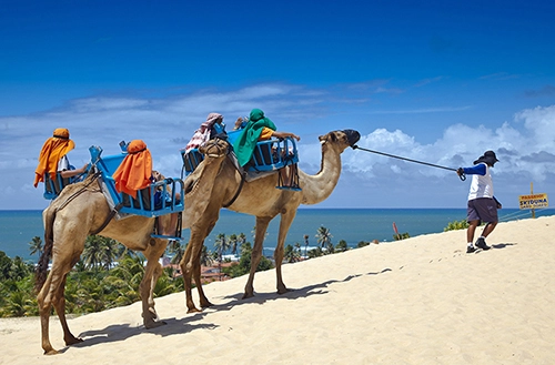 1645009258620cd96acd986