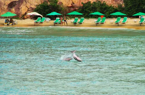 16456677406216e59c36499