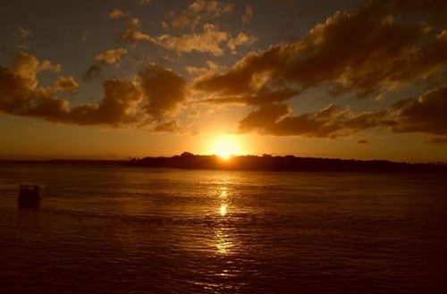 164849978662421c4acc192