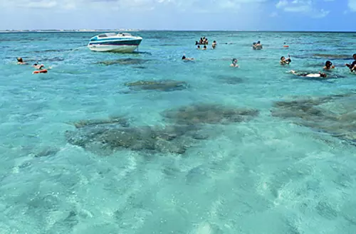 1645647036621694bc6c5f8