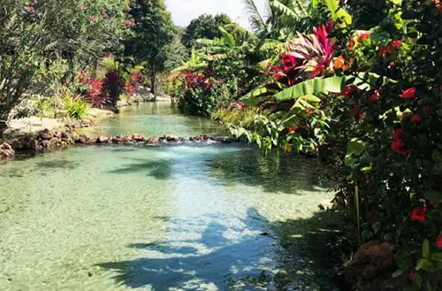 16456585706216c1cacb442