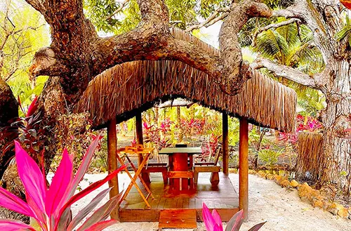 16456585716216c1cb02d54