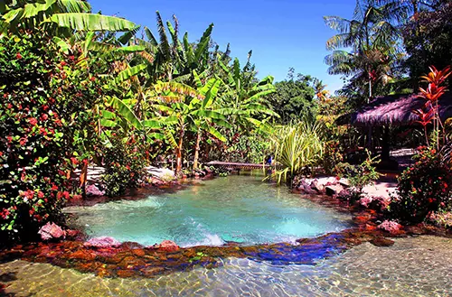 16456585716216c1cb56fc8