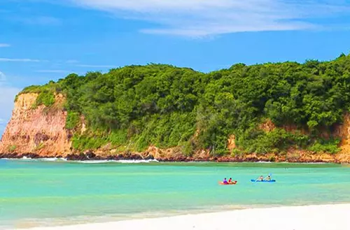 16456599416216c7256e8c1