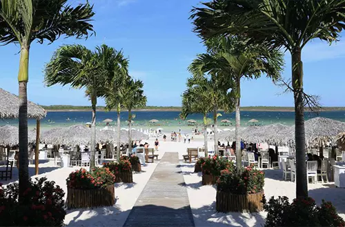 16456606906216ca12a7ce3