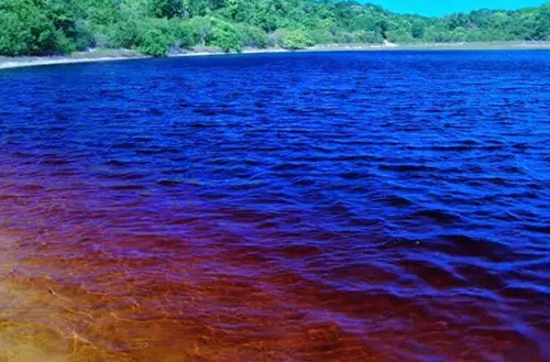 16456663036216dfff456b8