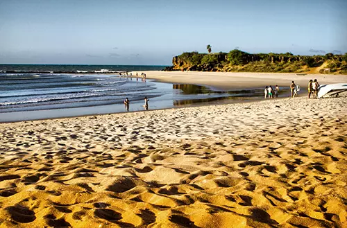 16456668936216e24d0bf9c