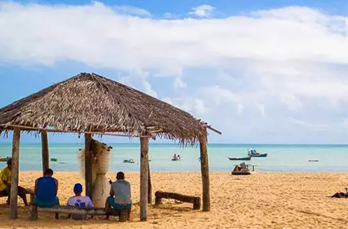 16456671966216e37c41f96