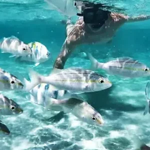 Parrachos de Perobas e Praia de Rio do Fogo — Um mergulho para ficar na sua memória